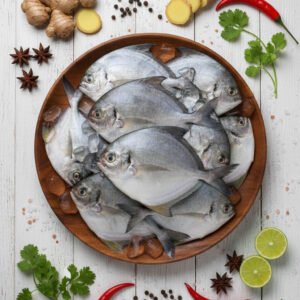 Black Pomfret (నల్ల చందువ)