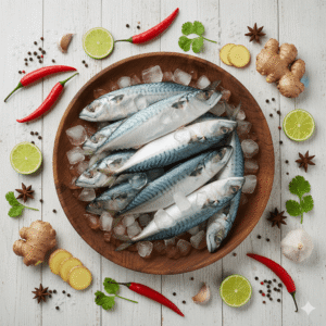 Indian Mackerel (కనగడతలు)