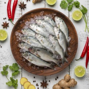 Indian Salmon (మాగ చేప)