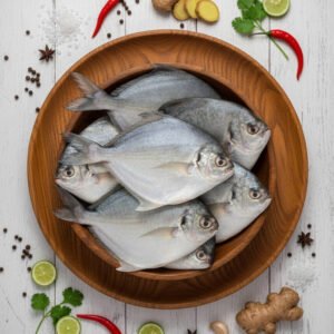 White Pomfret (తెల్ల చందువ)