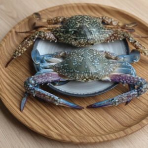 Blue Star Crabs
