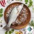 Barramundi (పండుగప్ప)