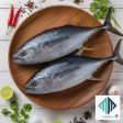 Tuna Fish