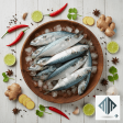 Indian Mackerel (కనగడతలు)