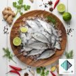 White Snapper (గొరక చేప)