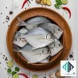 White Pomfret (తెల్ల చందువ)