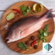Red Snapper (కొరమేను)