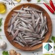 Anchovies (నెట్టలు)